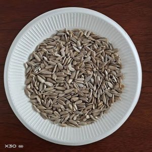 sunflower-seed-kernel