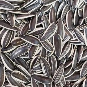 sunflower-seeds