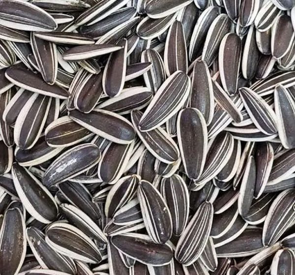 sunflower-seeds